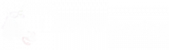 The Late Awakening Logo